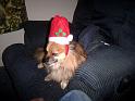 Picture 504